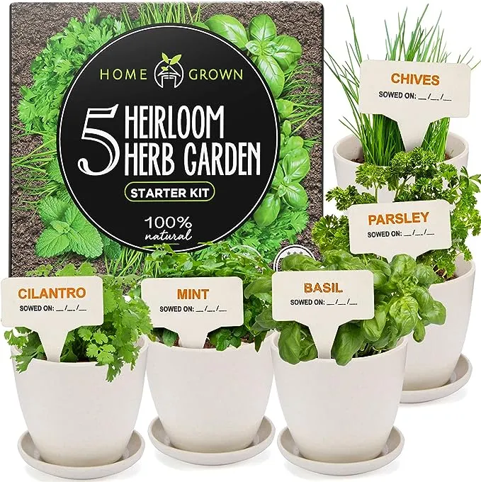 Indoor Herb Garden Starter Kit - 5 Herb Plant Grow Kit w/Pots & Soil - DIY Heirloom Herb Seeds Home Gardening Kit - Kitchen Window Garden Growing Kit - Unique Gardening Gifts for Women & Men