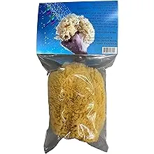 Awesome Aquatic Natural Sea Sponge Amazing Natural Renewable Resource"Creating The in Home Perfect Bath and Shower Experience" Artist Sponge (Yellow Grass 5-6 Inch)