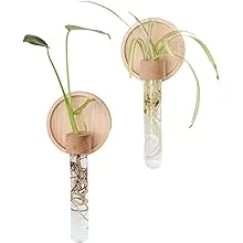 Propagation Wall Hanging Plant Wall Decor Set of 2 Wall Vases for Flowers Maple Wood and Glass Wall Planters for Indoor Plants