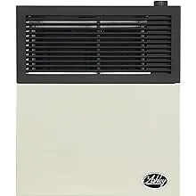 Ashley 11,000 BTU Direct Vent Natural Gas Heater