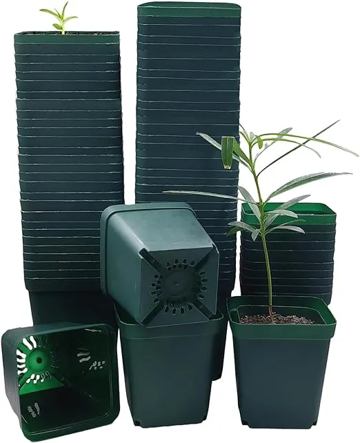 RooTrimmer Square Nursery Seedling Pot 3.5 Inches 90 Pcs, Small Nursery Pot Plastic Thick and Sturdy Seed Start Germination Pot for Plant Propagation and Seeding(Green,3.54 Inches, 90Pcs)