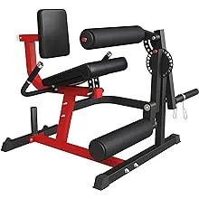 Syedee Leg Extension and Curl Machine LE01