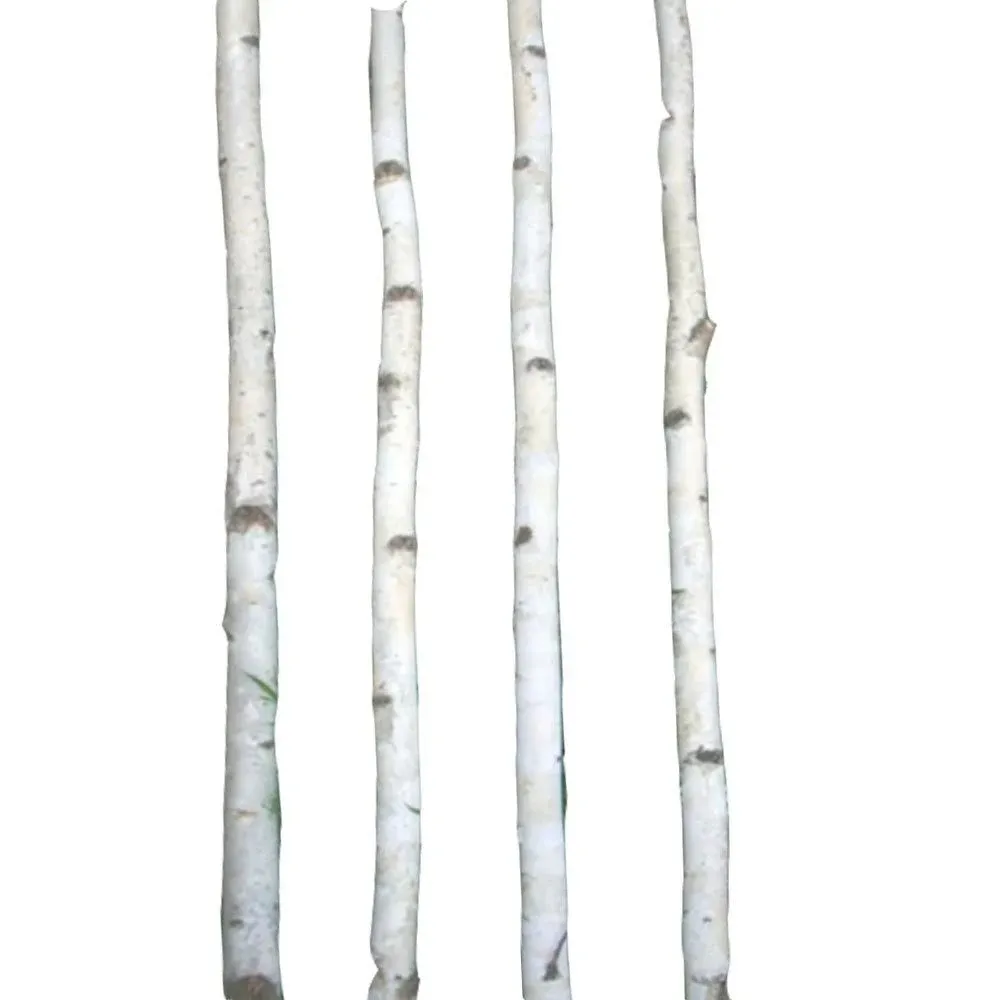 Four Thin White Birch Poles