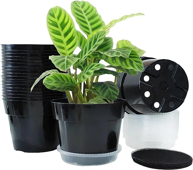 20 Pack Plant Pots, 6 Inch Plastic Plant Planter with Saucers and Mesh Mats, Durable Flower Pots with Drainage Holes Perfect for Indoor Outdoor, Black