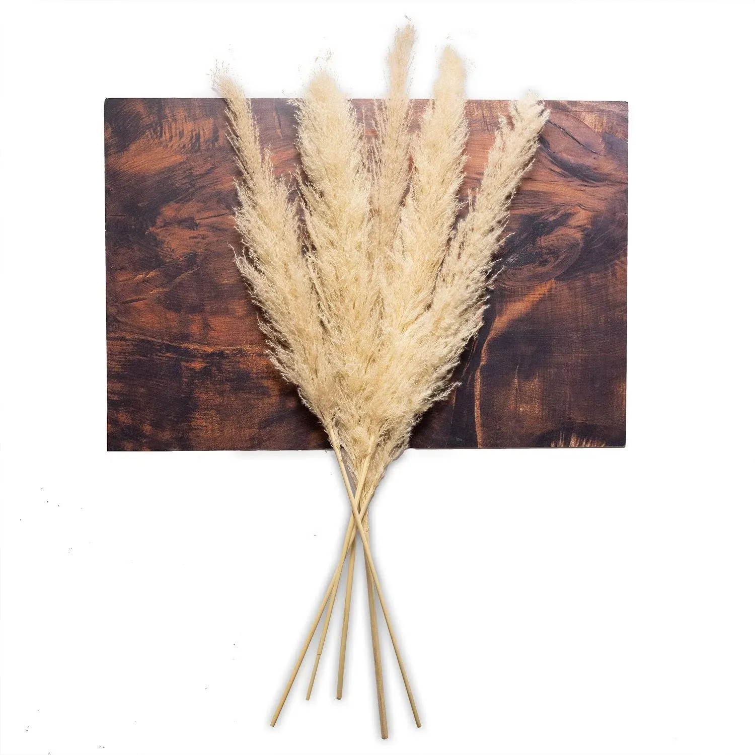 Tall Beige Dried Pampas Grass Decor - Boho Decor Bedroom - Boho Flowers - Dri...