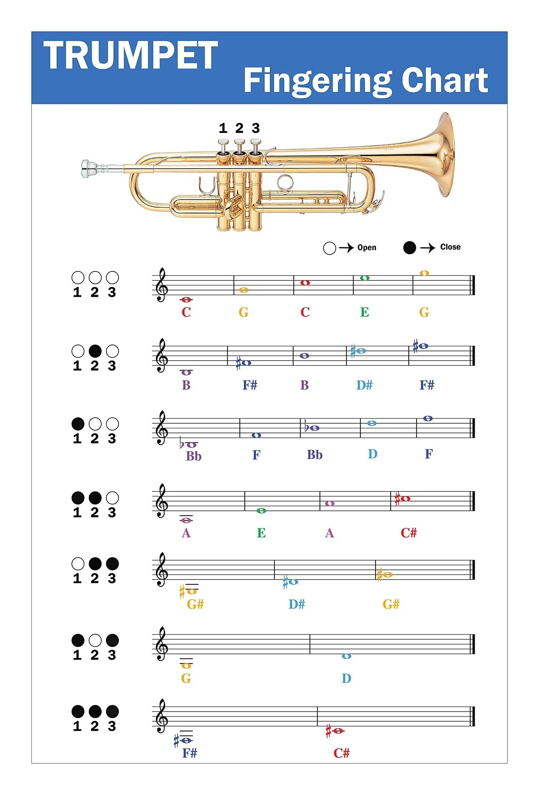 Trumpet Fingering Chart with Color-Coded Notes, Learn Trumpet Technique Suitable