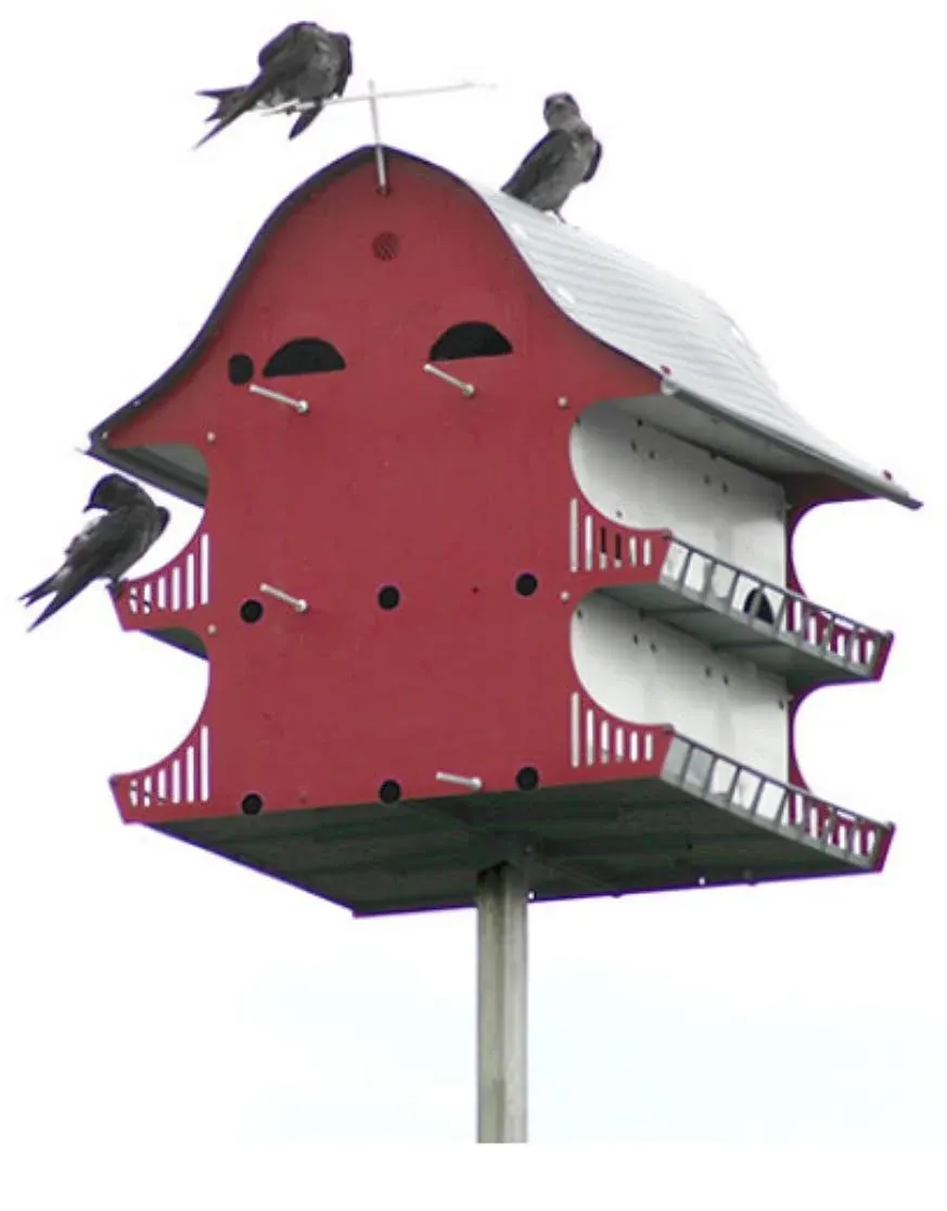 Royal Wing Purple Martin Barn Bird House