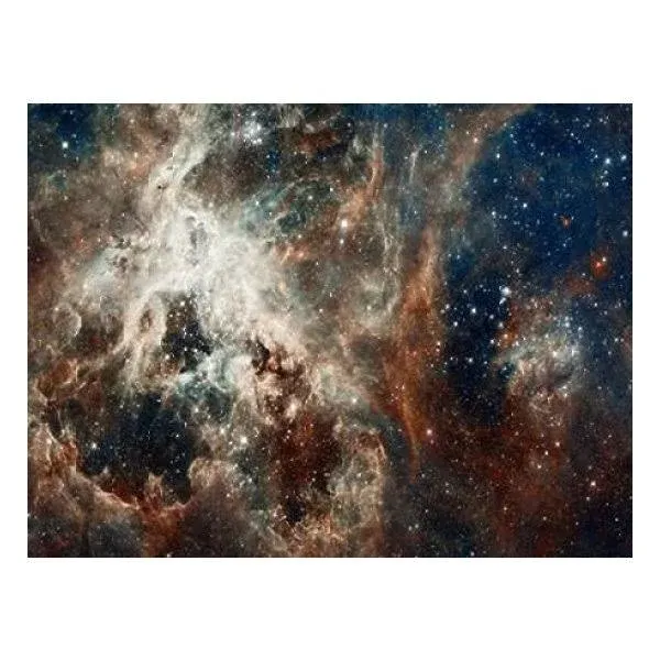 Tarantula Nebula - Compressed Version Print, 11 x 14 - Contemporary - Prints And Posters - by Posterazzi | Houzz