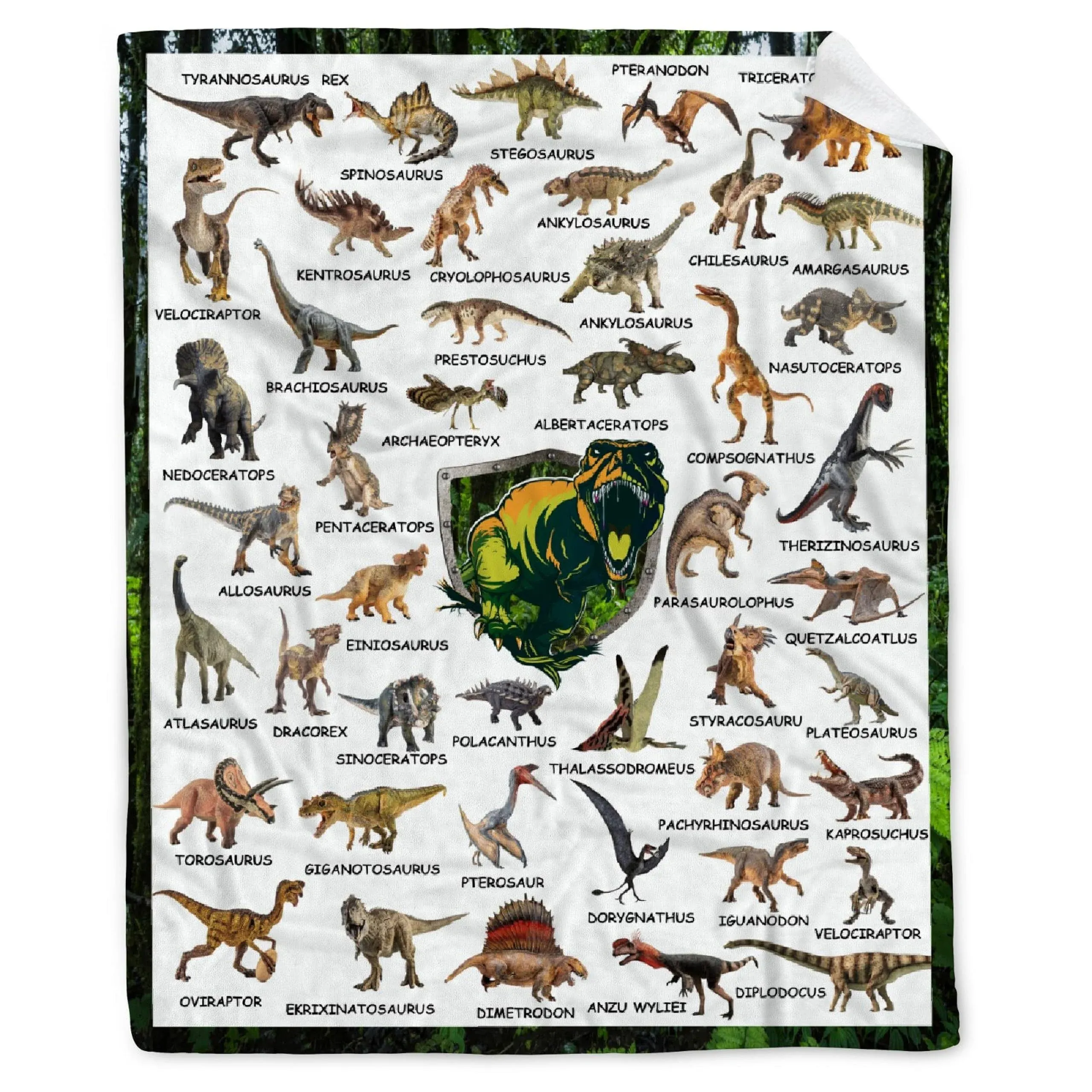 BUYYET Dinosaur World Fleece Flannel Gift Blanket Lightweight Soft Throw Blan...