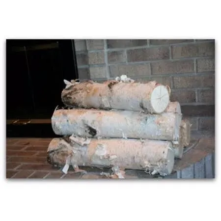 Wilson Large Birch Fireplace Logs, Decorative, Natural Bark Home Décor - 15.5-17.5 in Length 3-5 in Dia. (Set of 5)