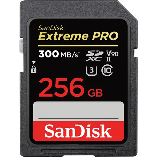 SanDisk 256GB Extreme PRO SDXC UHS-I Card - C10, U3, V30, 4K UHD, SD Card - SDSDXXY-256G-GN4IN