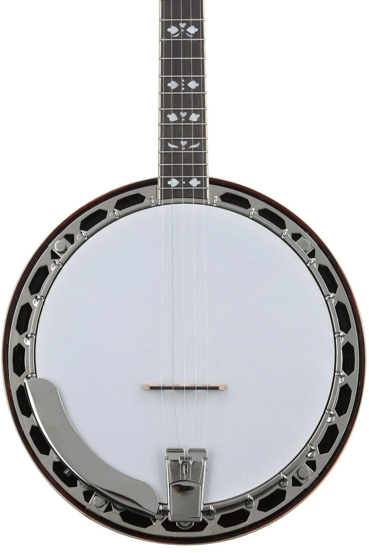 Recording King RKR20 Bluegrass Series Songster Banjo