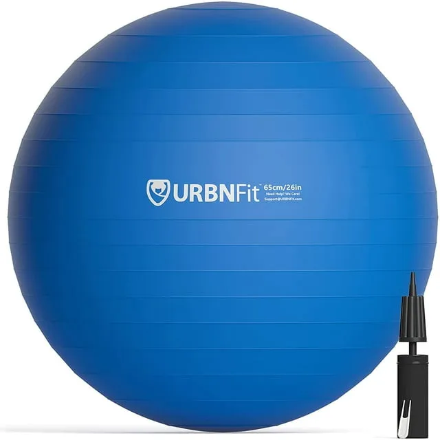 Exercise Balls For Fitness, Stability & Yoga - Workout Guide Included - 55CM / Blue