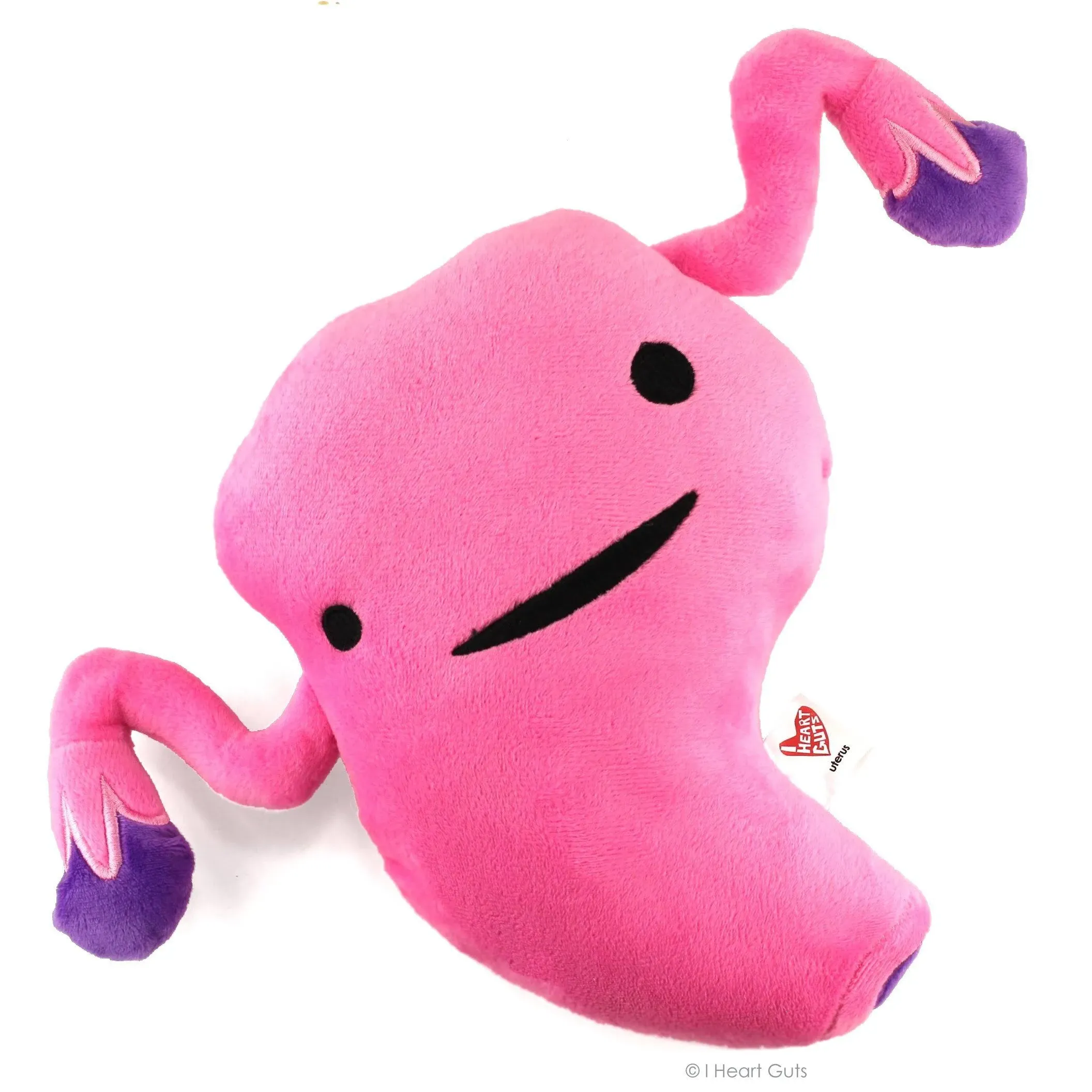 Uterus Get a Womb Plush I Heart Guts Plush 8” Educational Toy Pink NWT NEW