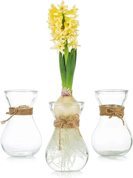 Glasseam Clear Glass Vase for Flowers, Set of 3 Bulb Vase for Forcing Hyacinth Bulbs, Small Vases for Centerpieces, Decorative Bud Flower Vase for Home Decor Living Room Wedding Table Decorations