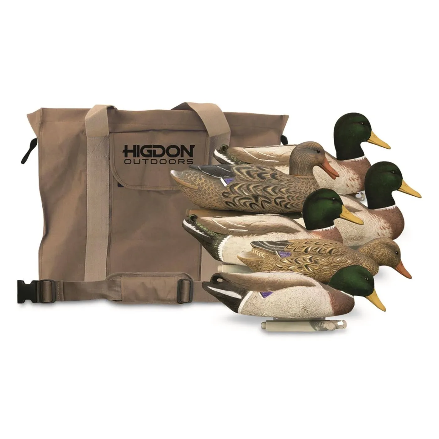 Foam Filled Magnum Mallards with Flocked Heads and 6-Slot Decoy Bag