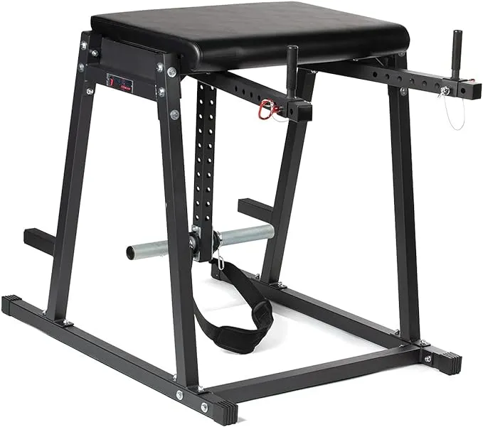 Titan Fitness Economy H-PND Reverse Hyperextensions Lower Body Machine