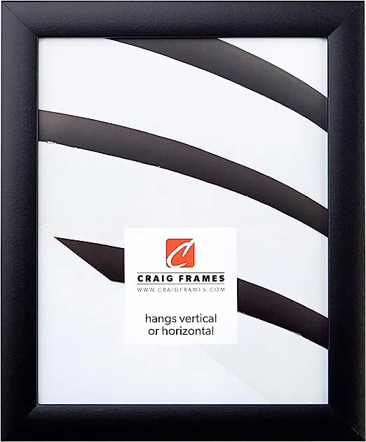 Craig Frames Picture Frame