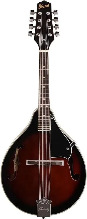 NEW Ibanez A-Style Mandolin M510BS Sunburst High Gloss + NEW RoadRunner Ave Case