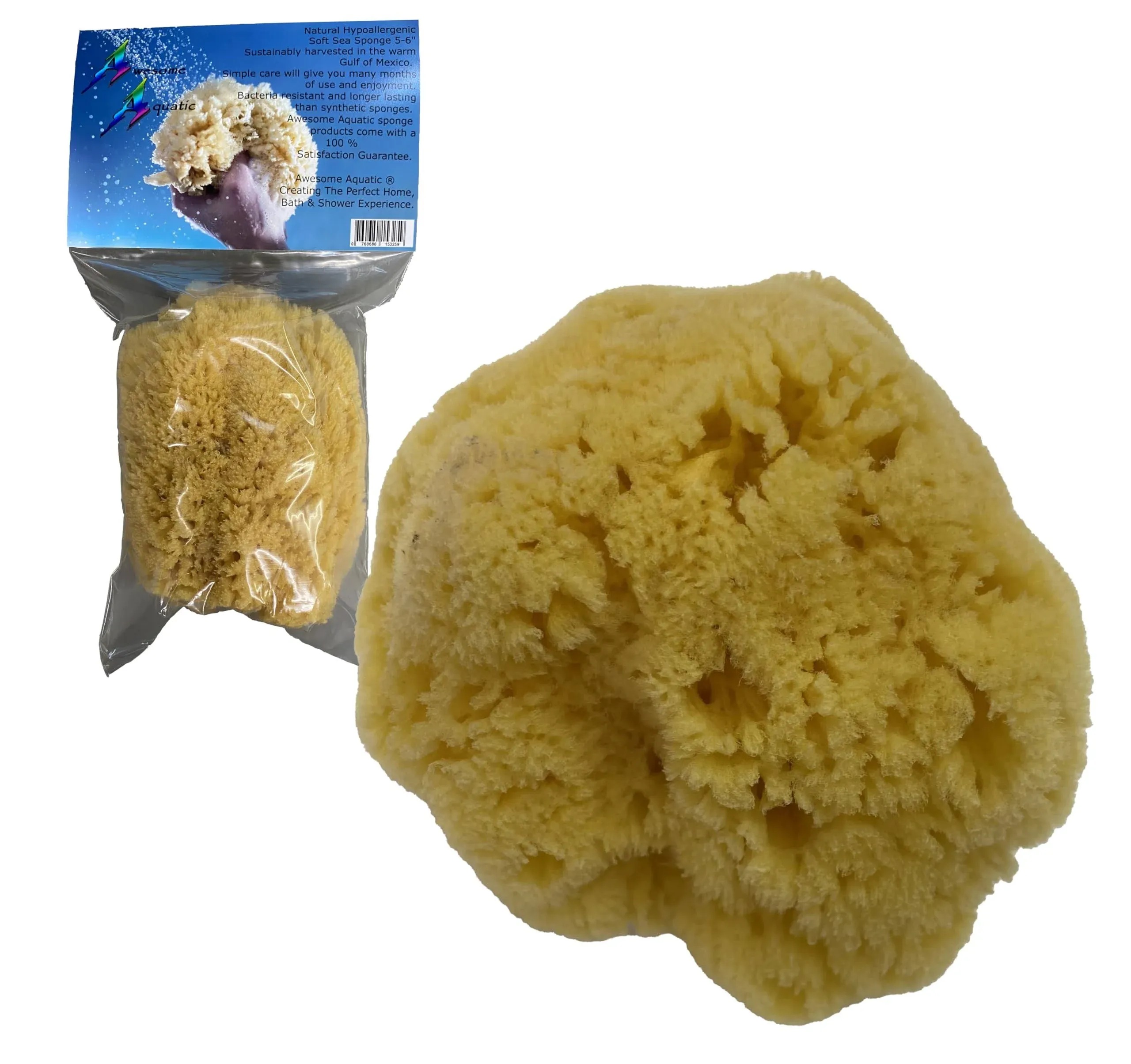 Awesome Aquatic Natural Sea Sponge Amazing Natural Renewable Resource"Creating The in Home Perfect Bath and Shower Experience" Artist Sponge (Yellow Grass 5-6 Inch)