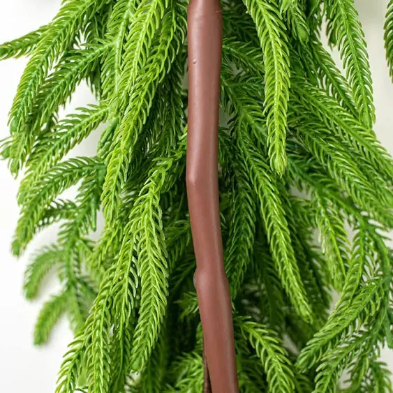 6' Norfolk Pine Garland, Green