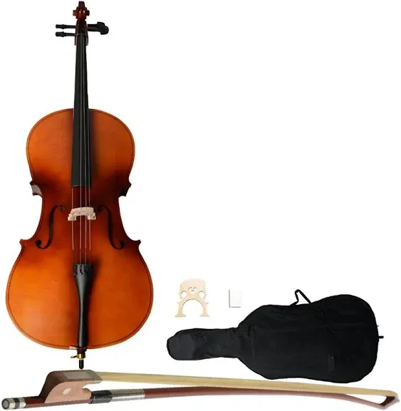 4/4 Acoustic Cello with Case,Bow,Rosin (Black)