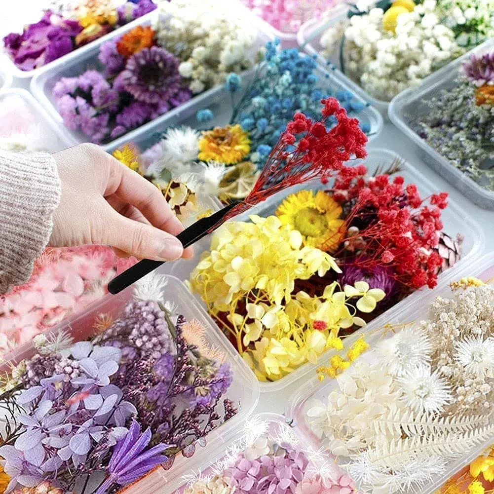 Dried Flowers for Resin Jewelry molds Real Pressed Dry Flower Leaves Mixed Mu...