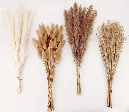 ANPROOR Dried Pampas Grass Decor, 100 Pcs Pampas Grass Contains Bunny Tails Dried Flowers, Reed Grass Bouquet for Wedding Boho Flowers Home Table