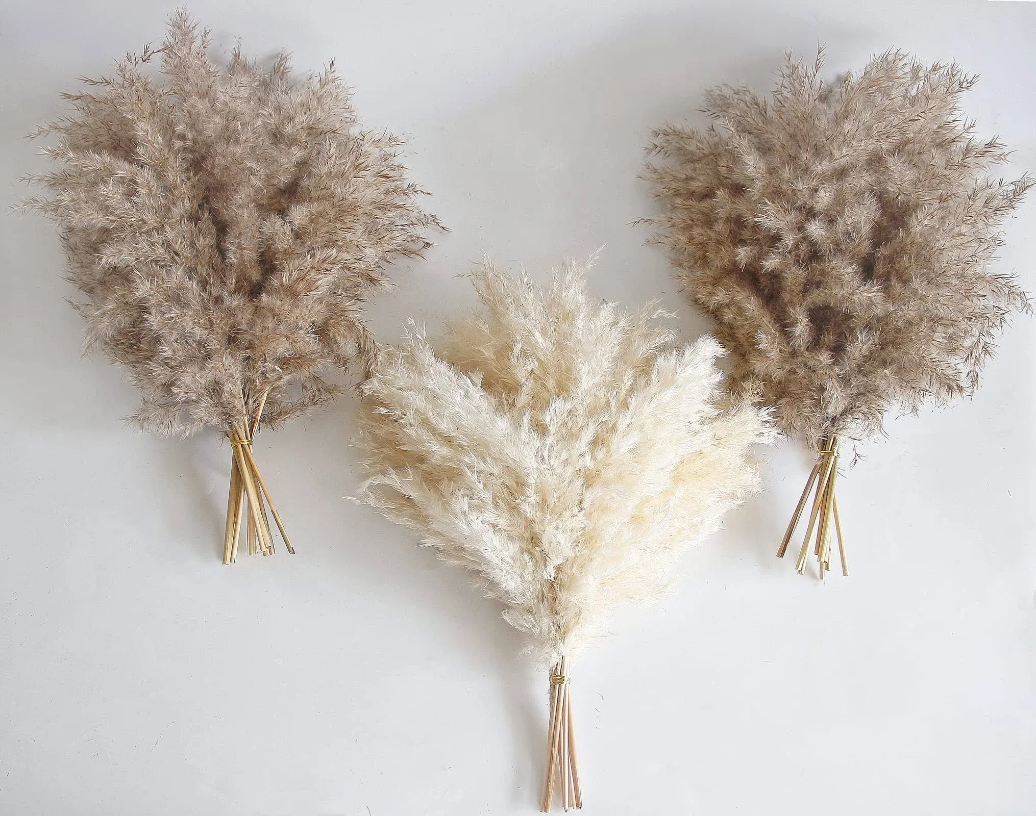 30 PCS Boho Decor Fluffy Pompas Grass Natural Dry Pampas Grass Small Short