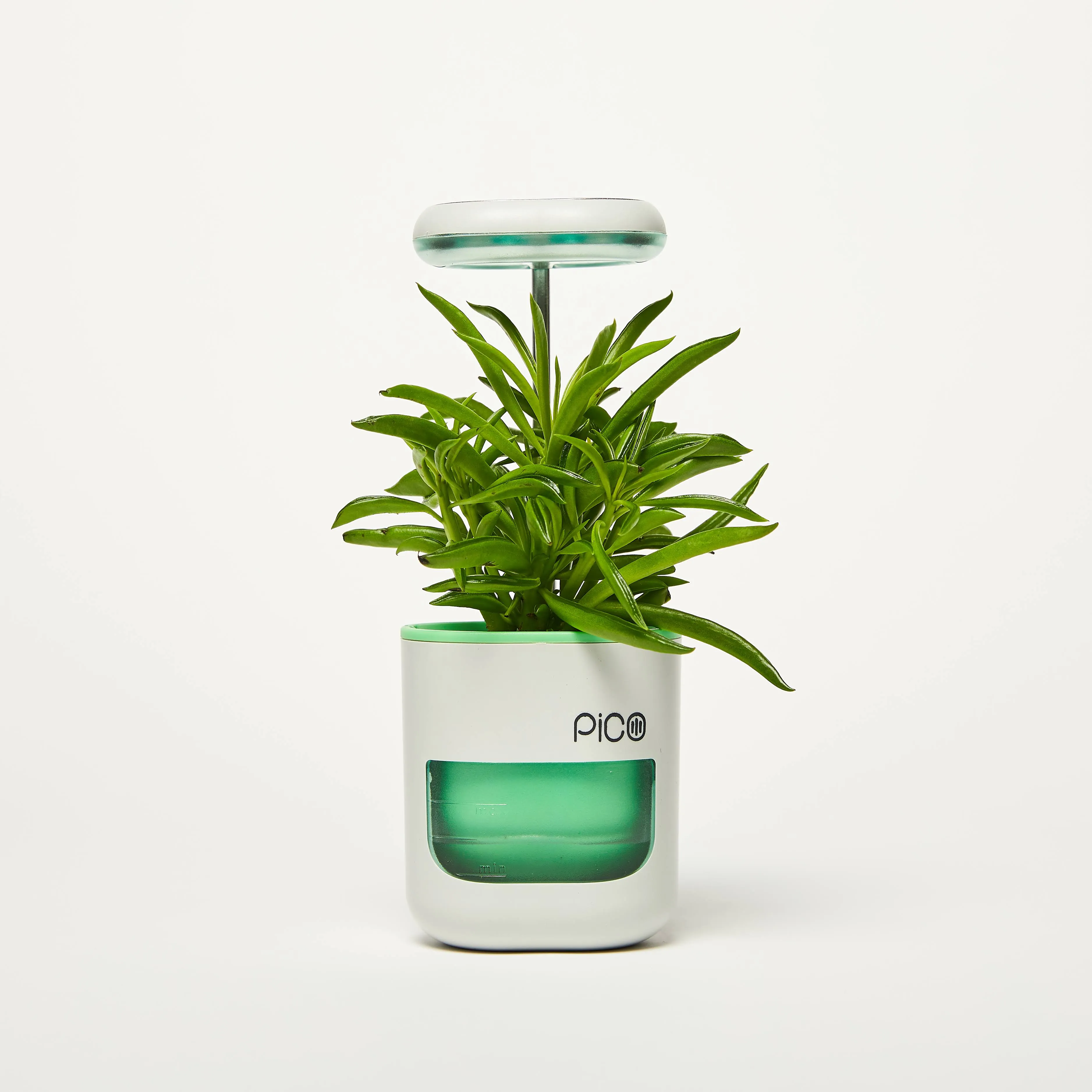 Pico Planter Indoor Garden with Plant Grow Light. This Herb Growing Kit is the Perfect Self Watering Planter. An Indoor Garden for Your Home and Office. Grow with Soil or Soil-Less Hydroponics