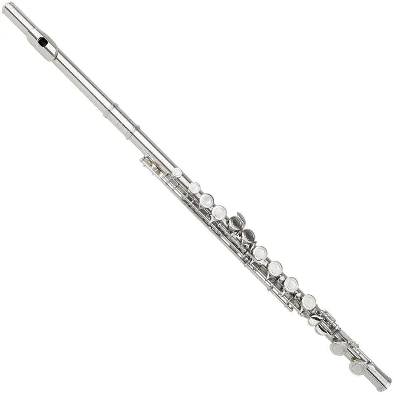 Cecilio Closed Hole C Flute