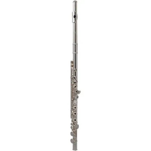 Armstrong AFL201 Closed-Hole Student Flute