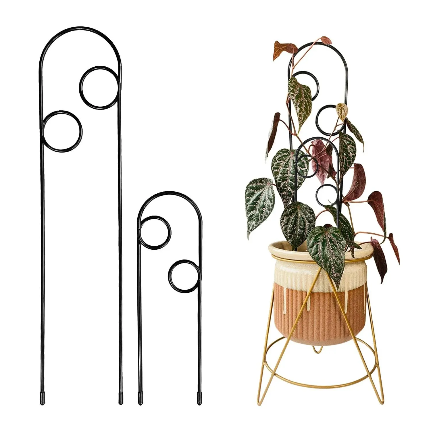 Metal Plant Support Stake for Indoor Climbing Plants, Pothos, Monstera, Philodendron and Vines, Plant Decor Accessories - Size: 17.75" x 3.75" & 10" x 3" (Whirl, Black)