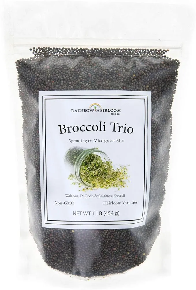 Rainbow Heirloom See Broccoli Trio Sprouting Microgreen Mix Contains 3 Heirloom, Non GMO Broccoli Sprouting Seed Varieties for Broccoli Sprouts Mic