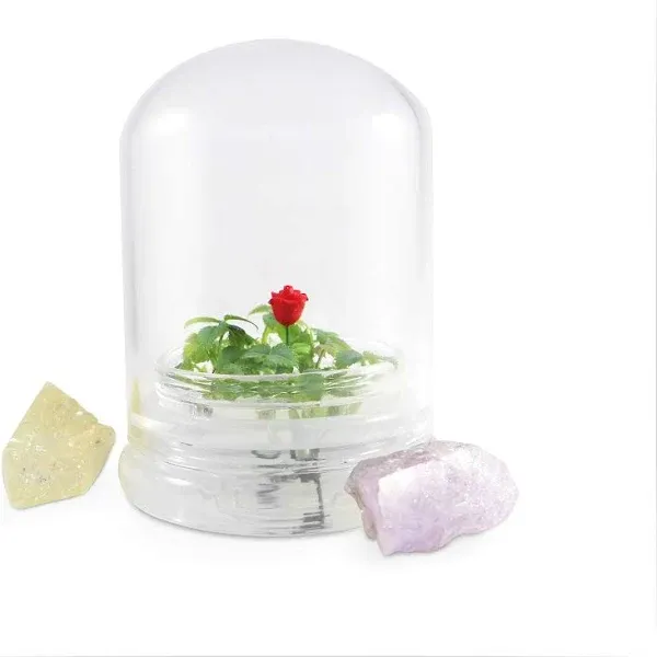 Live Rose Terrarium, Self-Grow, Maintenance Free, 4" Dome