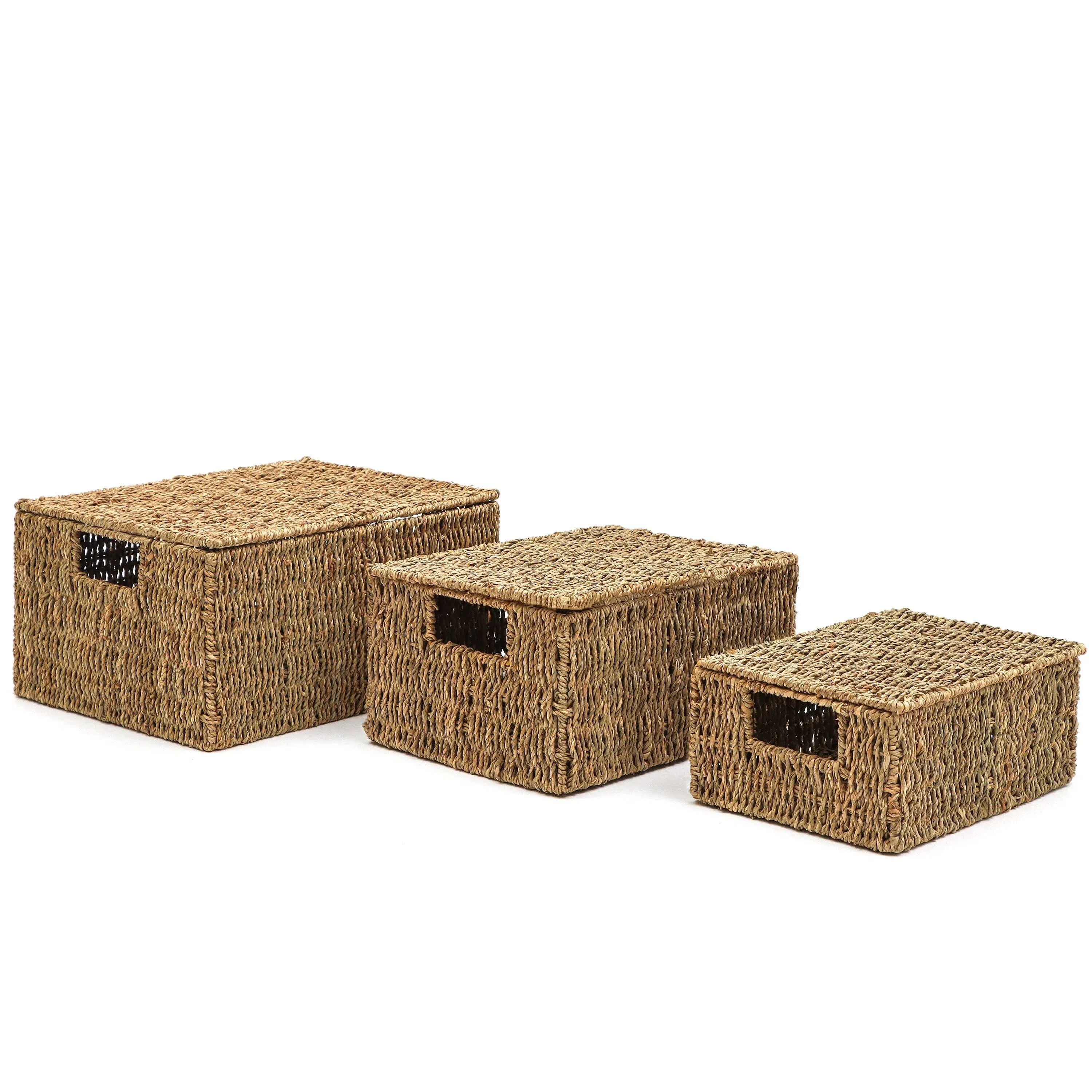 Trademark Innovations Set of 3 Rectangular Seagrass Baskets with Lids, Natural (Large)