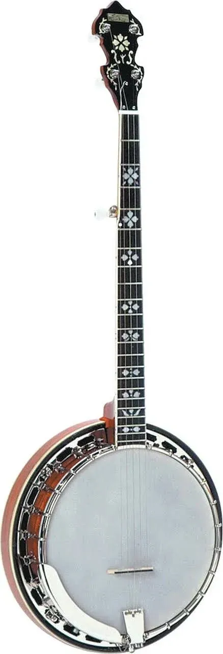 Recording King RK-R20 Songster 5-String Tone Ring Banjo | Reverb