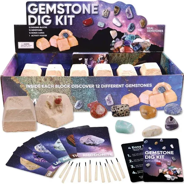 Hapinest Gemstone Rock Dig Kit for Kids | Dig 12 Gems | Geology Science Stem ...