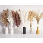 Bannifll 110 Pcs Dried Pampas Grass Bouquet, Boho Table Decor, Bunny Tails Dried Flowers, Brown Pompas, White Pampas Grass for Wedding, Home, Rustic