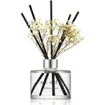 COCODOR Preserved Flower Reed Real Flower/6.7Ounc<wbr/>e/1Pack White Jasmine