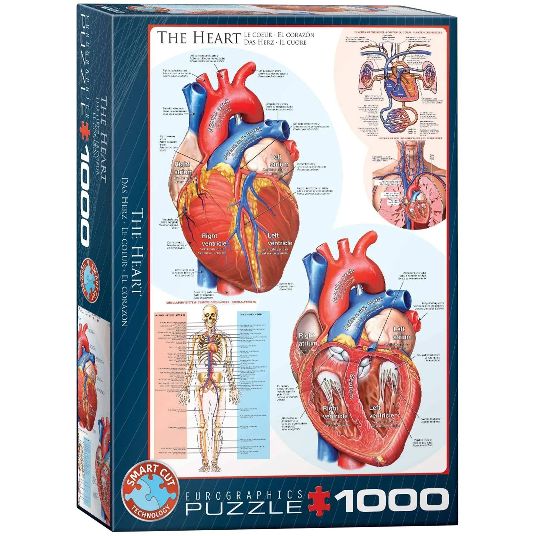 EuroGraphics Human Body THE HEART Jigsaw Puzzle SEALED!