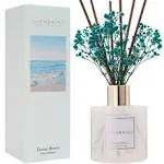 COCORRÍNA Reed Diffuser - Ocean Breeze Scented Diffuser with 8 Sticks Home Fragrance Reed Diffuser for Bathroom Shelf Decor