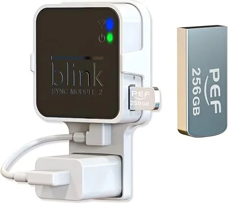 PEF 256GB Blink USB Flash Drive