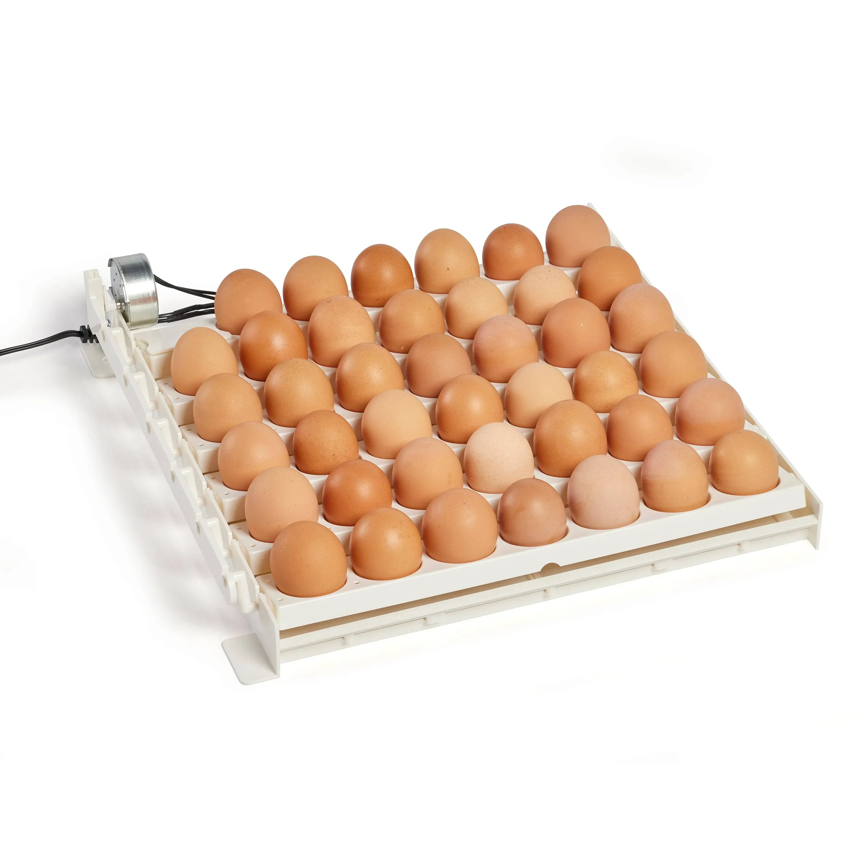 Farm Innovators - Automatic Poultry Chicken Egg Turner with Egg Racks - 3200