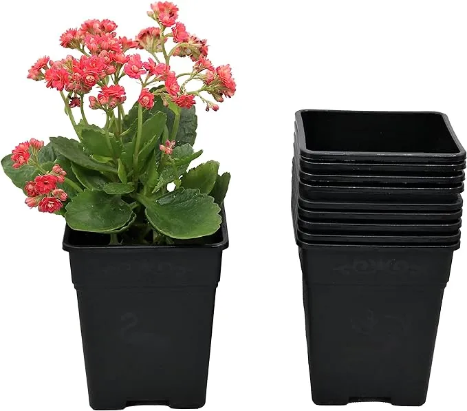 Square Nursery Pot 0.5 Gallon Plastic Planters for Outdoor Indoor Plants 10-Pack with Drainage Holes 5 inch Nursery pots