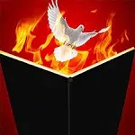 Dove &amp; Fire Book Magic Tricks Objects Appearing From Flame Magic Book Magician 