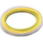 Rio Elite Gold Fly Line WF4F