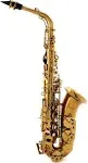 BetterSax Student Alto Saxophone - Dark Gold Lacquer