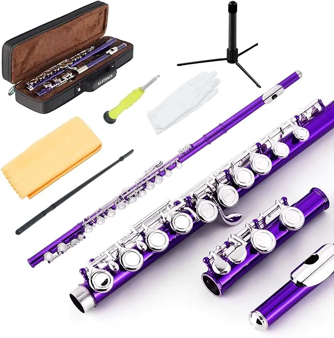 EASTROCK Closed Hole Flutes C 16 Key for Beginner, Kids, Student -Nickel Flute with Case Stand and Cleaning kit (Purple)