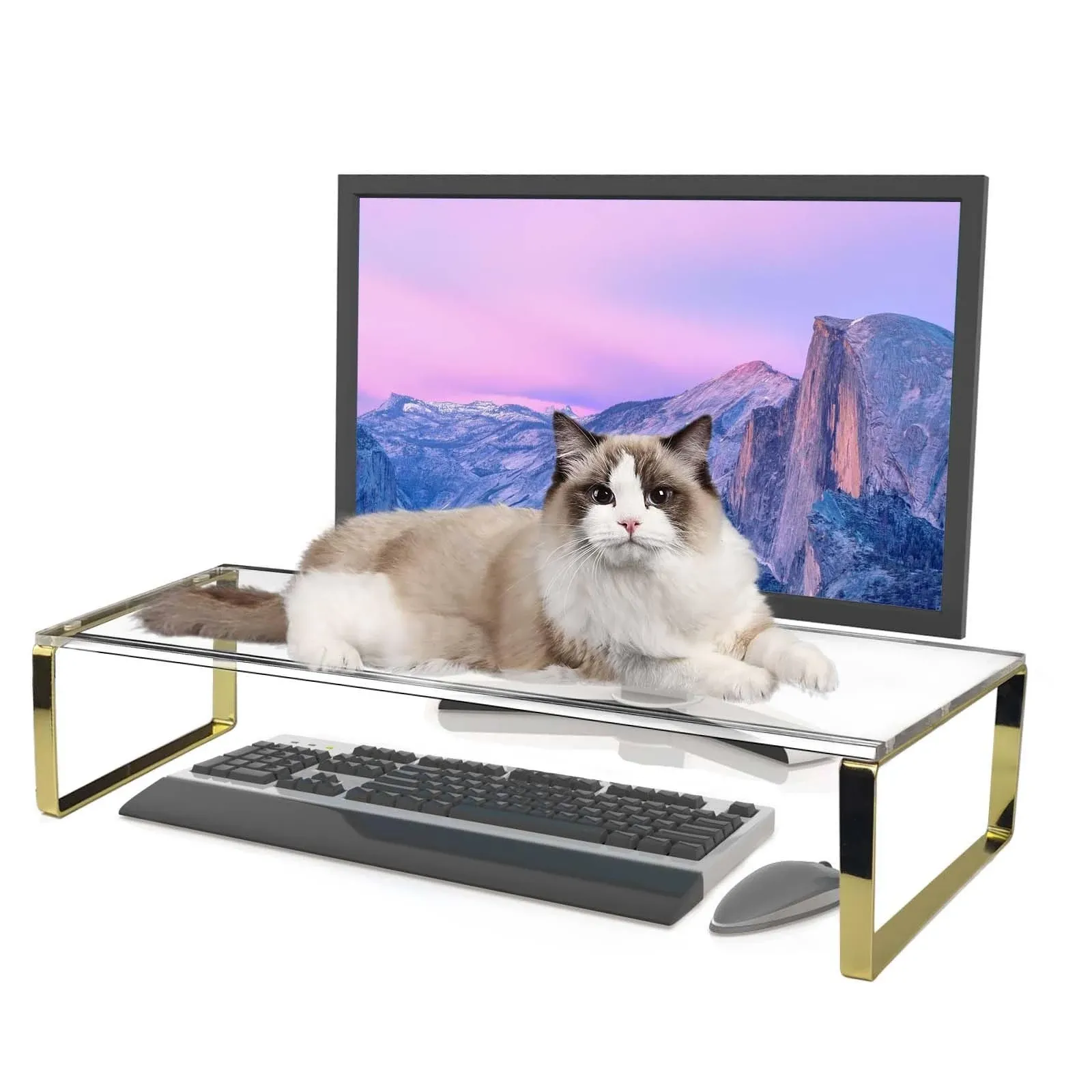 Anti Cat Keyboard Cover 20" Large Monitor Stand 2 in 1 Clear Acrylic Keyboard Cover Long Acrylic Monitor Stand Keyboard Protective Cover for Desk 108 Keyboard Protector Laptop Computer Monitor